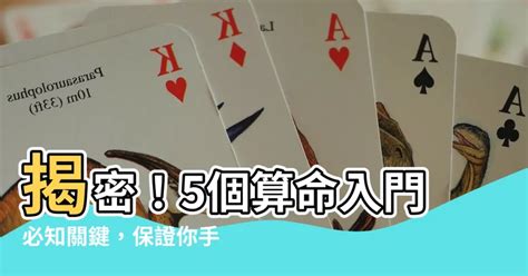 自學算命|【怎麼學算命】揭秘算命秘辛！新手入門指南：從零開。